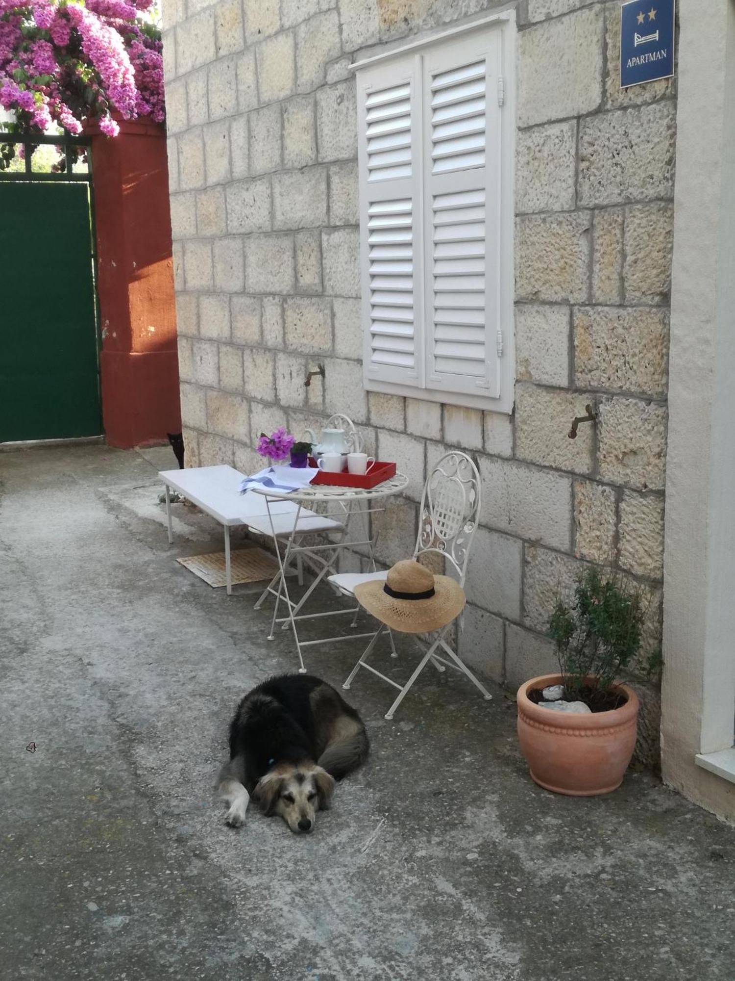Holiday Home Isabella Vis Ngoại thất bức ảnh